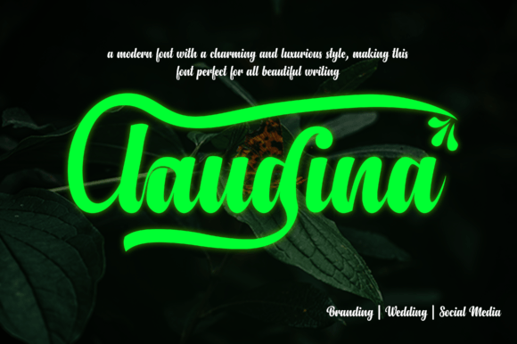 Enhance Your Craft Projects with the Claudina Font